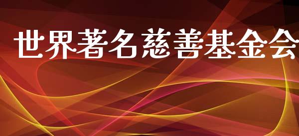 世界著名慈善基金会_https://www.lansai.wang_基金理财_第1张