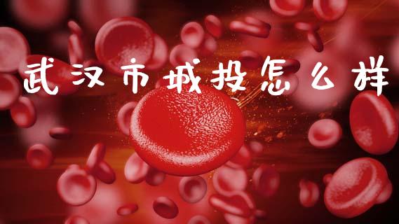 武汉市城投怎么样_https://www.lansai.wang_股票问答_第1张