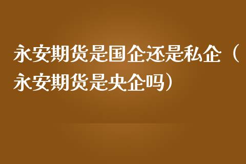 永安期货是国企还是私企（永安期货是央企吗）_https://www.lansai.wang_期货品种_第1张