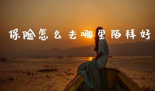 保险怎么去哪里陌拜好_https://www.lansai.wang_股票知识_第1张