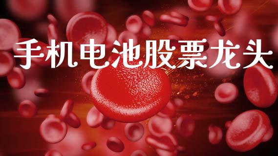 手机电池股票龙头_https://www.lansai.wang_期货行情_第1张
