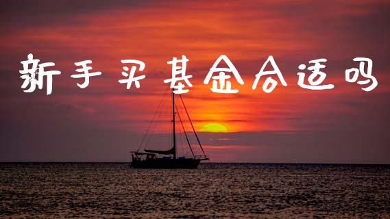 新手买基金合适吗_https://www.lansai.wang_基金理财_第1张