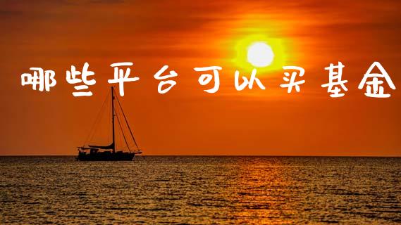 哪些平台可以买基金_https://www.lansai.wang_基金理财_第1张