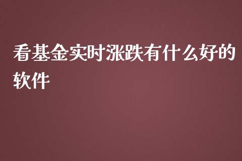 看基金实时涨跌有什么好的软件_https://www.lansai.wang_基金理财_第1张