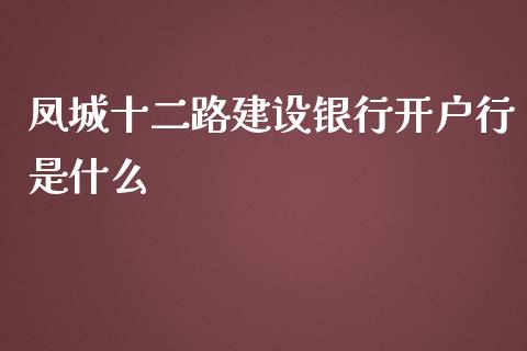 凤城十二路建设银行开户行是什么_https://www.lansai.wang_基金理财_第1张