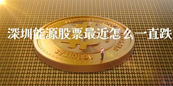 深圳能源股票最近怎么一直跌_https://www.lansai.wang_股票问答_第1张