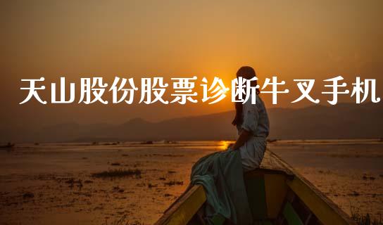 天山股份股票诊断牛叉手机_https://www.lansai.wang_期货行情_第1张