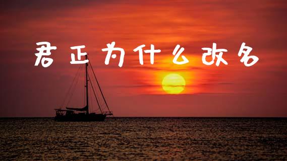 君正为什么改名_https://www.lansai.wang_股票知识_第1张