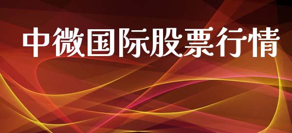 中微国际股票行情_https://www.lansai.wang_股票知识_第1张