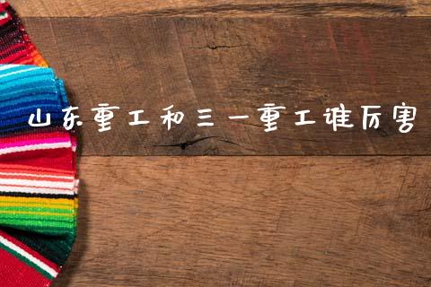 山东重工和三一重工谁厉害_https://www.lansai.wang_股票问答_第1张