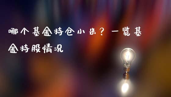 哪个基金持仓小米？一览基金持股情况_https://www.lansai.wang_期货资讯_第1张