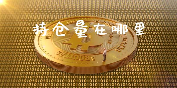 持仓量在哪里_https://www.lansai.wang_期货资讯_第1张