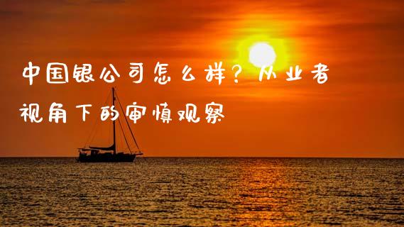 中国银公司怎么样？从业者视角下的审慎观察_https://www.lansai.wang_理财百科_第1张