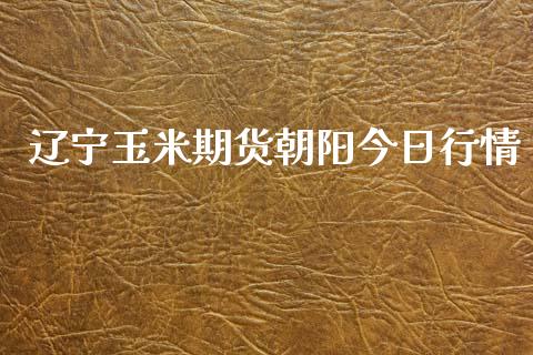 辽宁玉米期货朝阳今日行情_https://www.lansai.wang_期货资讯_第1张