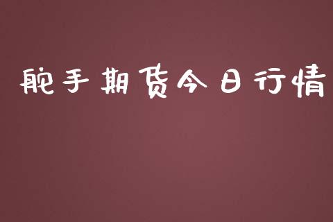 舵手期货今日行情_https://www.lansai.wang_期货行情_第1张