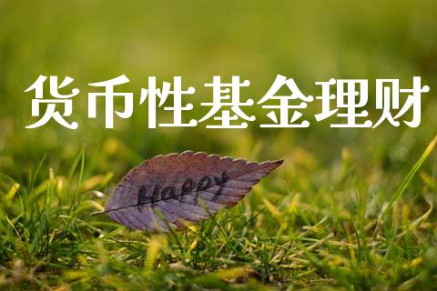 货币性基金理财_https://www.lansai.wang_基金理财_第1张