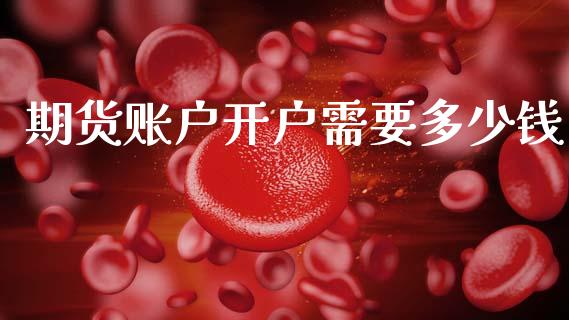 期货账户开户需要多少钱_https://www.lansai.wang_期货资讯_第1张