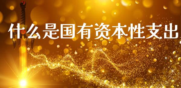 什么是国有资本性支出_https://www.lansai.wang_期货行情_第1张