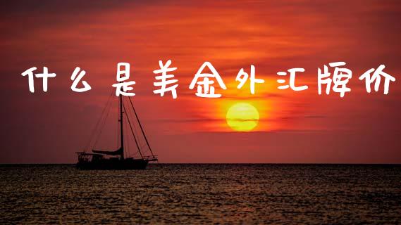 什么是美金外汇牌价_https://www.lansai.wang_基金理财_第1张