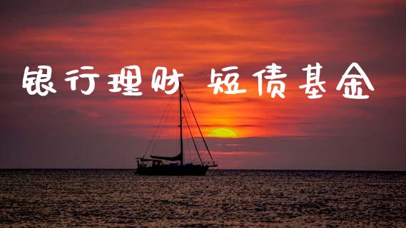 银行理财 短债基金_https://www.lansai.wang_基金理财_第1张