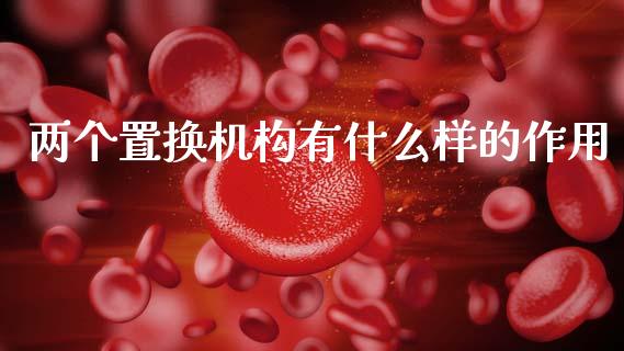 两个置换机构有什么样的作用_https://www.lansai.wang_期货品种_第1张