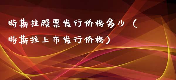 特斯拉股票发行价格多少（特斯拉上市发行价格）_https://www.lansai.wang_股票知识_第1张