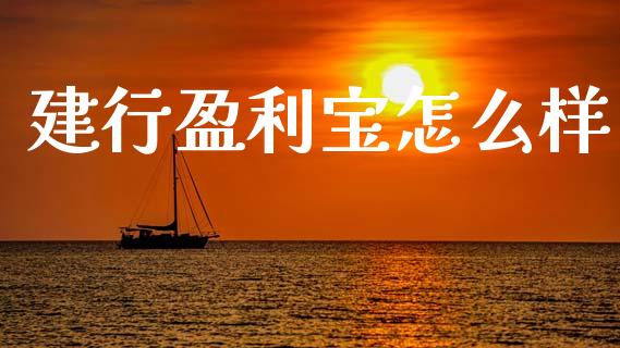 建行盈利宝怎么样_https://www.lansai.wang_恒生指数_第1张