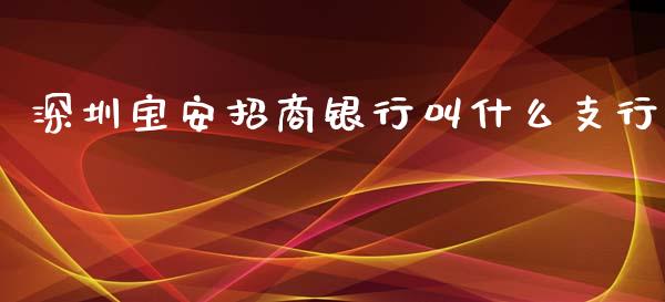 深圳宝安招商银行叫什么支行_https://www.lansai.wang_股票知识_第1张