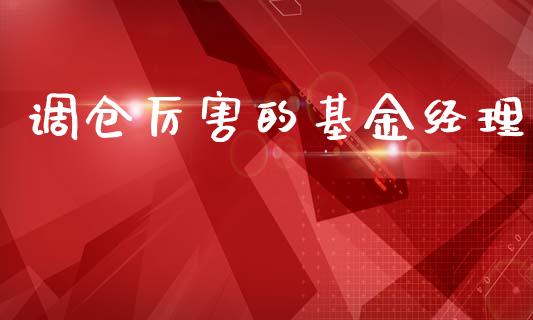 调仓厉害的基金经理_https://www.lansai.wang_基金理财_第1张