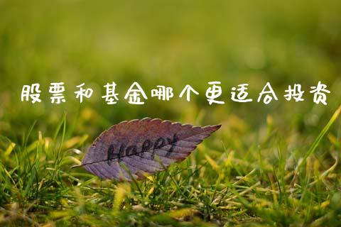 股票和基金哪个更适合投资_https://www.lansai.wang_基金理财_第1张