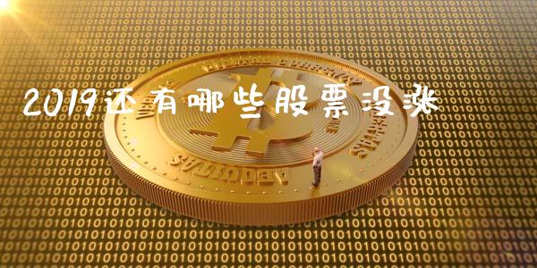 2019还有哪些股票没涨_https://www.lansai.wang_恒生指数_第1张
