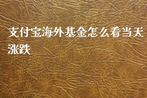 支付宝海外基金怎么看当天涨跌_https://www.lansai.wang_基金理财_第1张