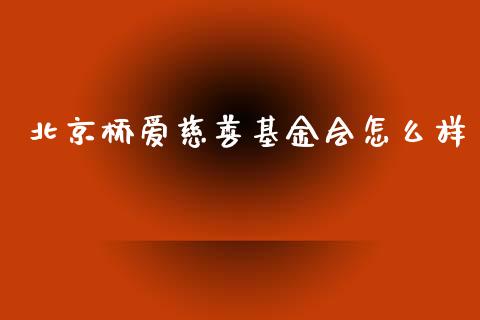 北京桥爱慈善基金会怎么样_https://www.lansai.wang_基金理财_第1张