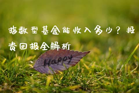 指数型基金能收入多少？投资回报全解析_https://www.lansai.wang_基金理财_第1张