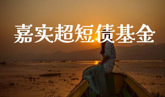 嘉实超短债基金_https://www.lansai.wang_基金理财_第1张