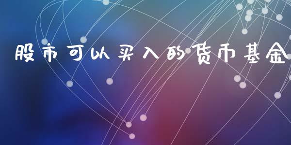 股市可以买入的货币基金_https://www.lansai.wang_基金理财_第1张
