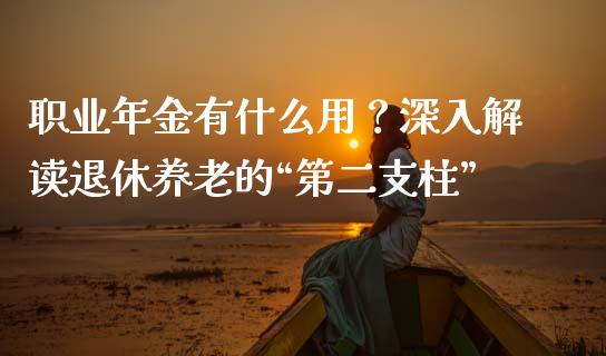 职业年金有什么用？深入解读退休养老的“第二支柱”_https://www.lansai.wang_恒生指数_第1张