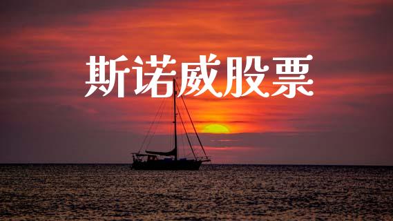 斯诺威股票_https://www.lansai.wang_基金理财_第1张