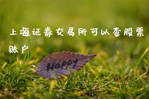 上海证券交易所可以查股票账户_https://www.lansai.wang_期货资讯_第1张