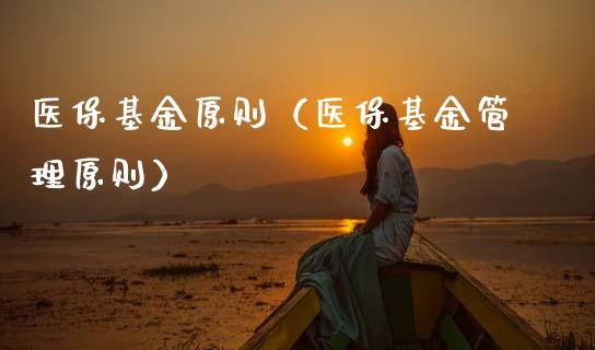 医保基金原则（医保基金管理原则）_https://www.lansai.wang_基金理财_第1张