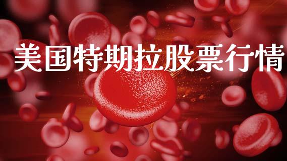 美国特期拉股票行情_https://www.lansai.wang_股票知识_第1张