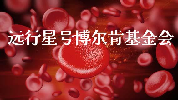 远行星号博尔肯基金会_https://www.lansai.wang_基金理财_第1张