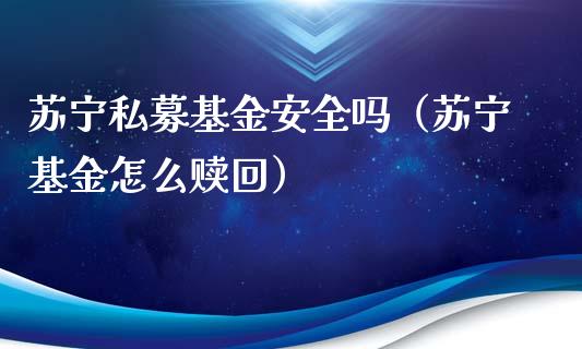 苏宁私募基金安全吗（苏宁基金怎么赎回）_https://www.lansai.wang_基金理财_第1张