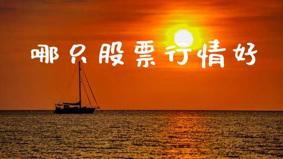 哪只股票行情好_https://www.lansai.wang_股票知识_第1张
