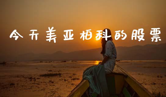 今天美亚柏科的股票_https://www.lansai.wang_期货行情_第1张