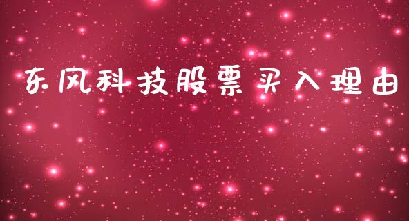 东风科技股票买入理由_https://www.lansai.wang_基金理财_第1张