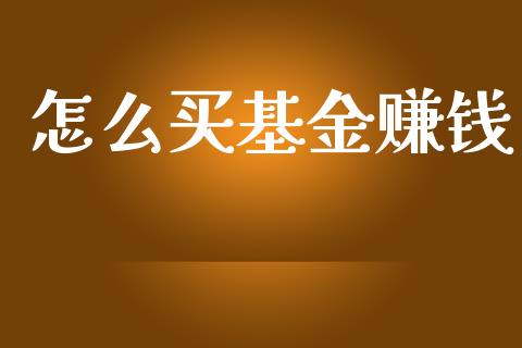 怎么买基金赚钱_https://www.lansai.wang_基金理财_第1张