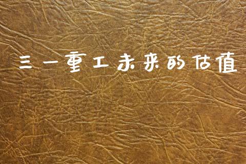 三一重工未来的估值_https://www.lansai.wang_股票知识_第1张
