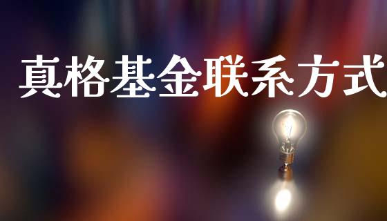 真格基金联系方式_https://www.lansai.wang_基金理财_第1张