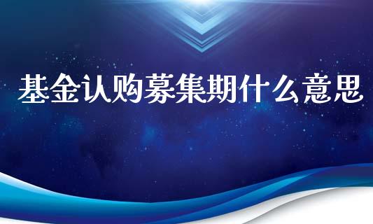基金认购募集期什么意思_https://www.lansai.wang_基金理财_第1张
